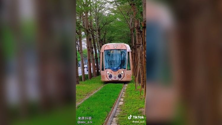 這列車也太萌太可愛了呀！好想搭呀！