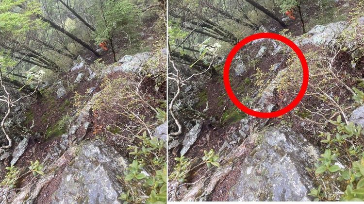 第二支登山杖也是在峭壁尋獲。民眾提供