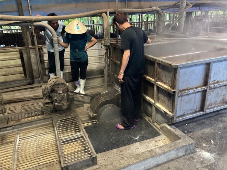 廚餘大鍋蒸煮沸達一小時後，待冷卻等過程，操作人員準備餵豬。陳宏銘攝