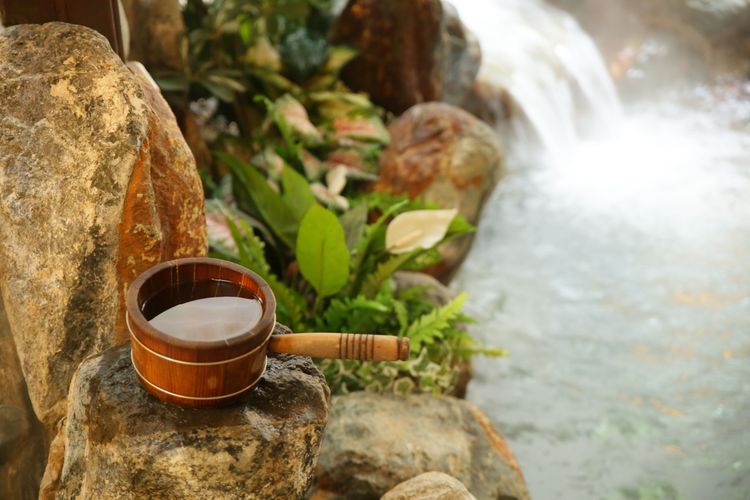 專案可享北投大地館內大眾風呂及健身房、露天泳池及溫水水療SPA池等休閒設施。北投大地提供