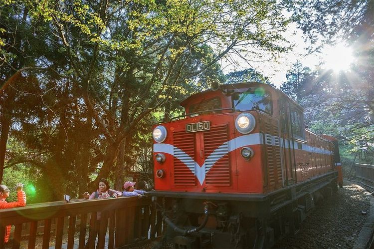 「阿里山林鐵獨家包列1日」旅展999元起。雄獅旅遊提供