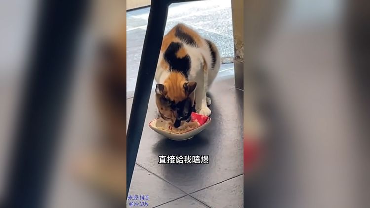 還是媽媽的罐罐比較好吃。