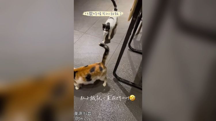我們一起叫，奴才比較聽得到。