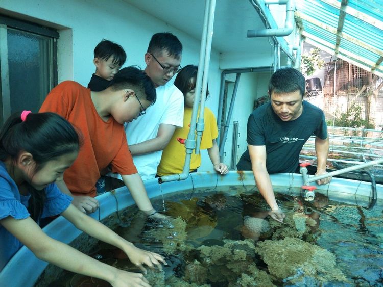 漁村體驗活動了解人工養殖珊瑚。塭豐社區發展協會提供