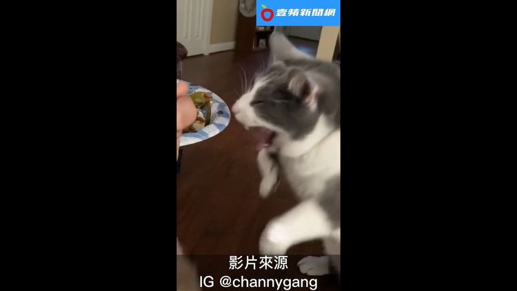 IG @channygang授權刊登