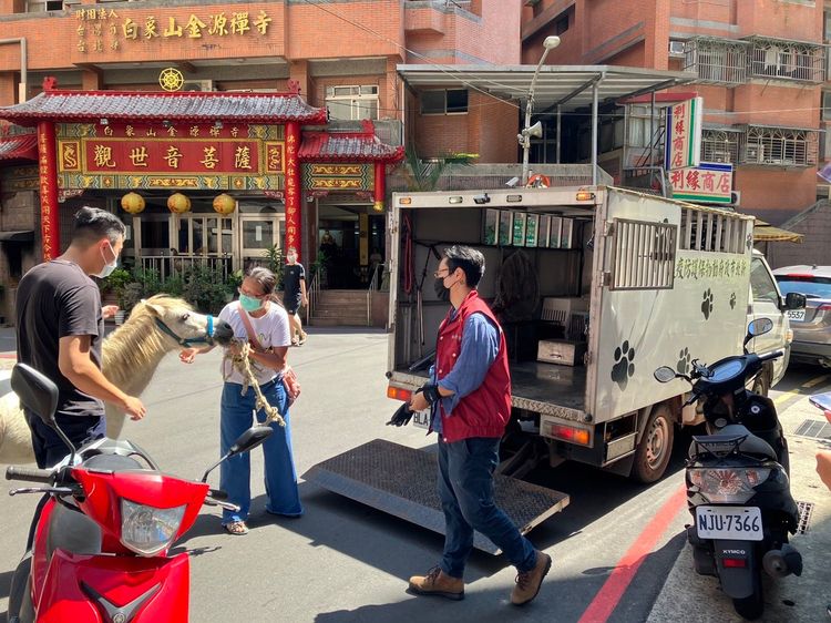 警方協助動保處人員將迷你馬安置。警方提供