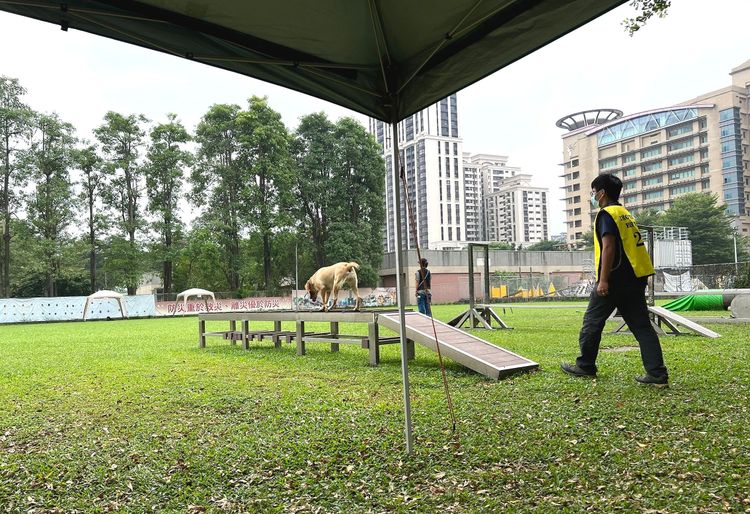 消防署將持續推動及整合災害搜救犬的培訓工作，並定期辦理搜救犬評量檢測及研習。消防署提供