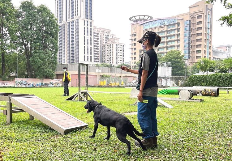 這次針對各優秀犬隻進行評測，特別邀請IRO日本籍裁判官澤田和裕來台擔任。消防署提供