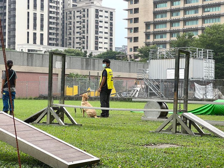 搜救犬在人命搜尋時，都能以靈活、敏捷的表現成功搜尋出寶貴的生命，發揮最大的效能，是救難人員的好伙伴。消防署提供