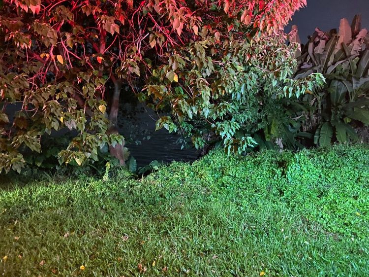 警方在河邊大樹下發現林婦正在躲雨。警消提供