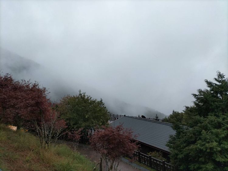 受東北季風及秋颱影響，太平山森林遊樂園明天預警性休園。羅東林管處提供