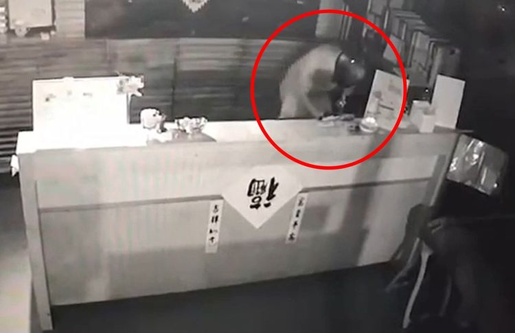 何男每次犯案專挑收銀櫃臺下手。翻攝畫面