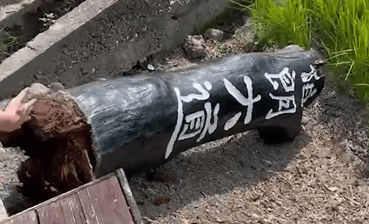 伯朗大道木樁整塊斷裂。民眾提供