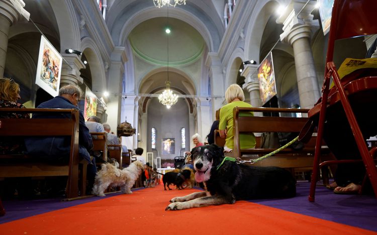 世界各地都有信徒帶寵物上教堂。路透社