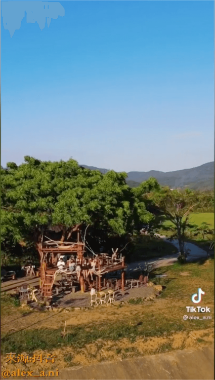 喝咖啡看風景，吸引網美打卡拍照。