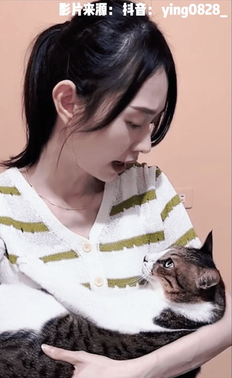 貓咪地位真的比較高。