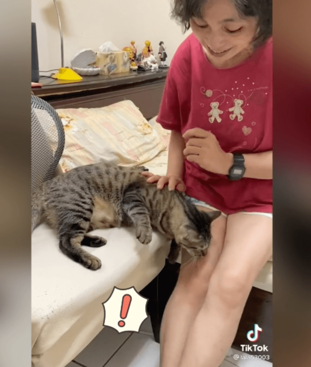 突然翻臉往大腿咬下去。