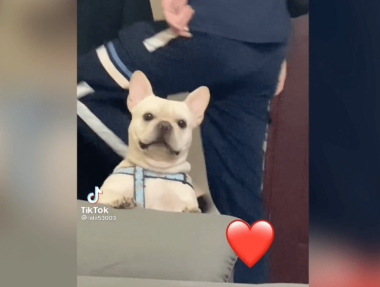 開心到微笑表情止不住。