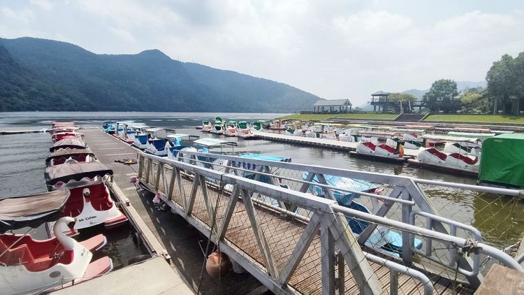 1名77歲老翁昨天租天鵝船遊鯉魚潭後即告失蹤。王文傑攝