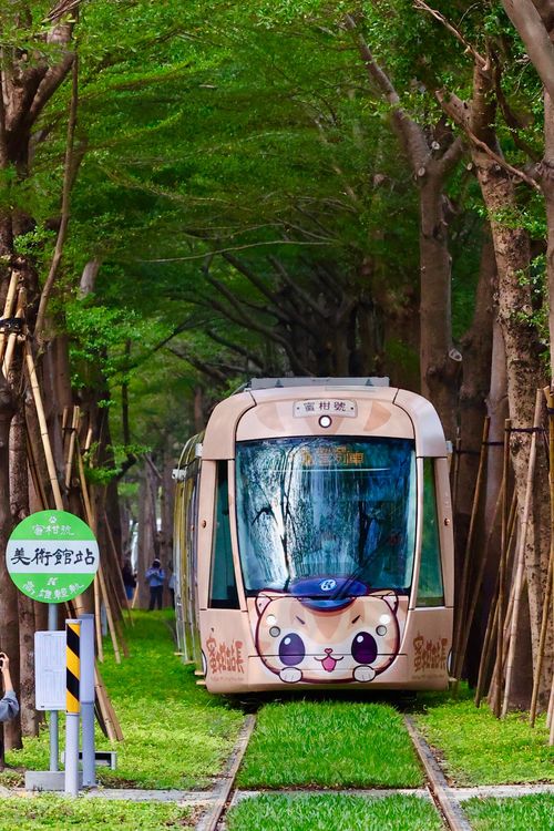 高雄好玩卡套票可於時限內無限次搭乘輕軌捷運等運具。觀光局提供