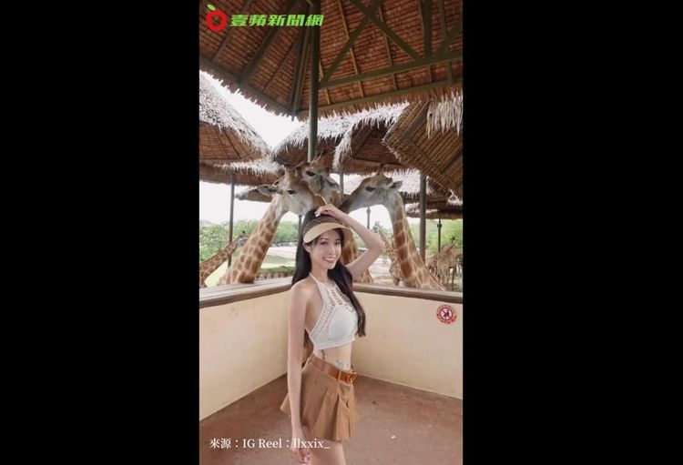 這服裝與長頸鹿很搭配。