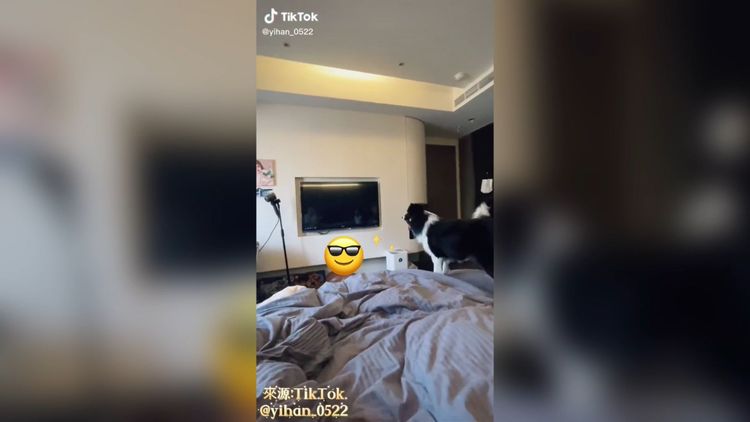 汪：誰這麼帥，好想再多看一眼呀！