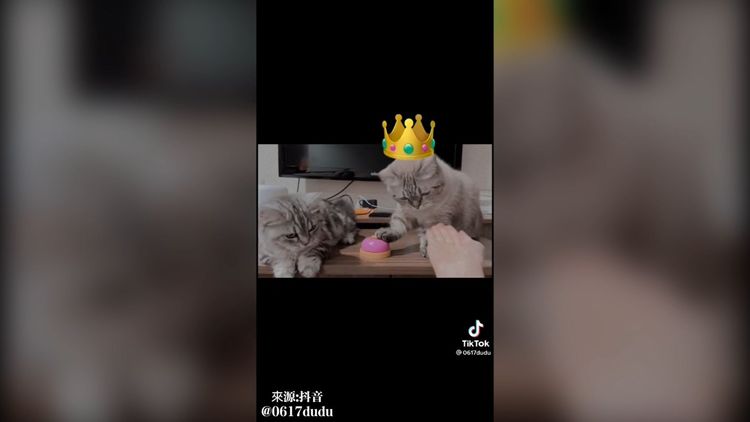 搶按鈴，誰能比得贏本皇。