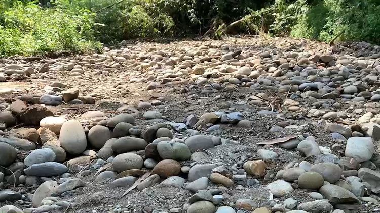 張麗善胞弟張啟盟涉濫墾山坡地面積廣達2公頃，大雨沖刷裸露土石滑落路上影響附近居民通行安全。魏嘉良攝