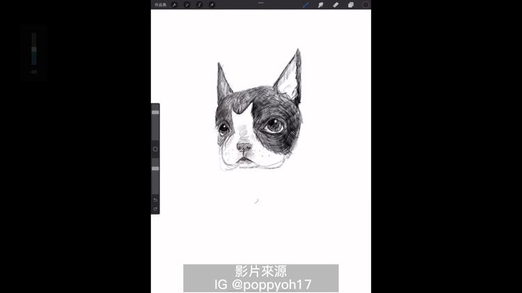  ipad pro也能畫出可愛的小狗狗。