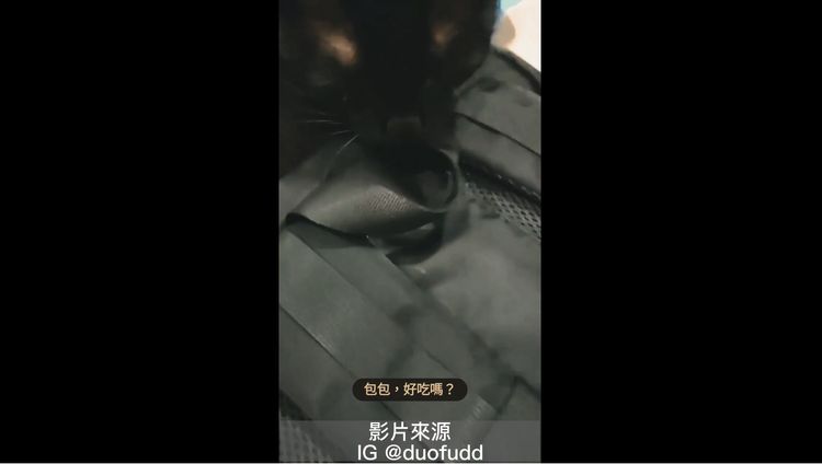 一直舔一直舔，真的很涮嘴呀！