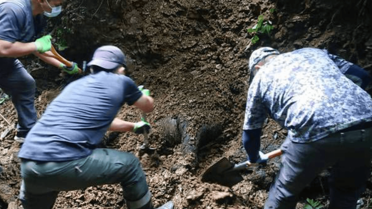 黑熊遭殘殺。讀者提供
