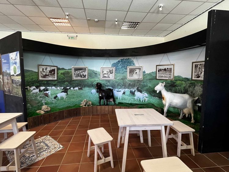 除了賞鷹、地景藝術，還可以到墾丁牧場吃吃喝喝。墾管處提供