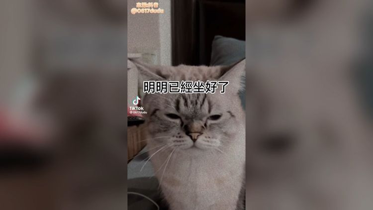 吃不到肉泥的萌貓臉好臭。