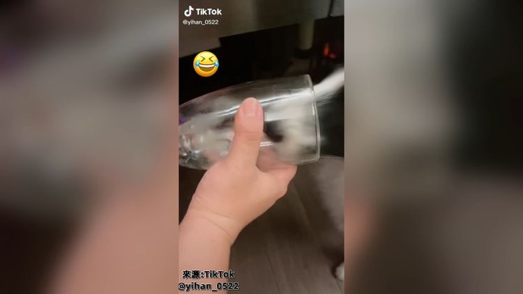 汪汪：太好喝了，我要喝到最後一滴。