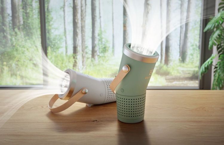 極適家居300個人與車用輕巧空淨機，售價3990元。業者提供