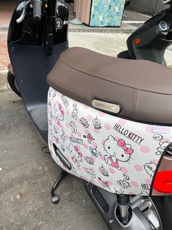 原PO替愛車裝上保護套。翻攝自爆廢公社