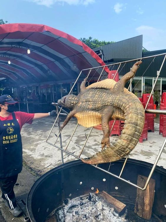整隻鱷魚被綁上烤架，這樣的烤肉食材相當少見。翻攝自臉書「爆廢公社公開版」