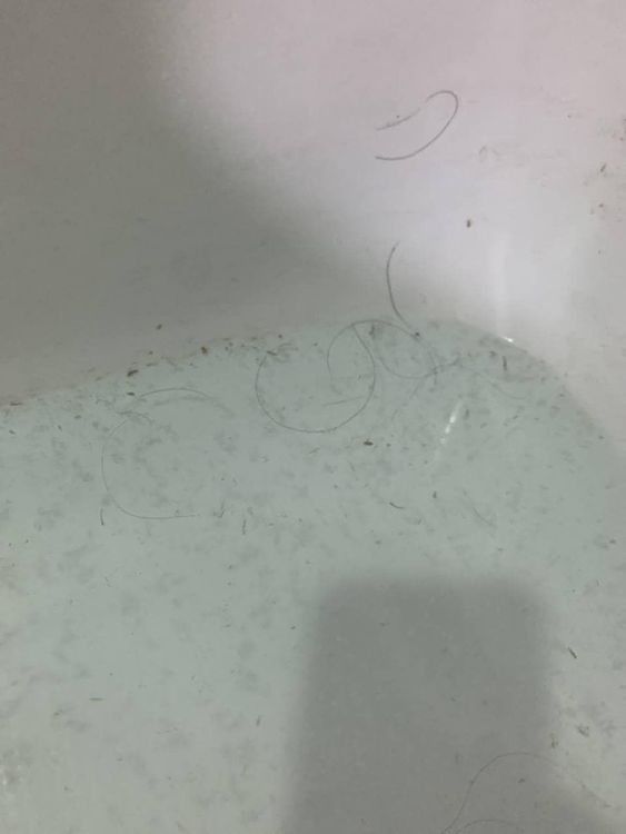 浴缸變超髒。翻攝自匿名2公社