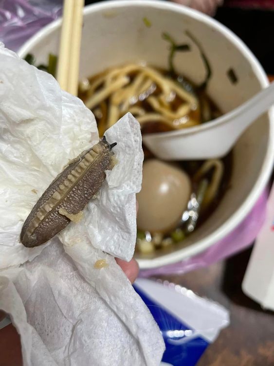 牛肉麵中出現煮熟的蛞蝓。翻攝自爆料公社
