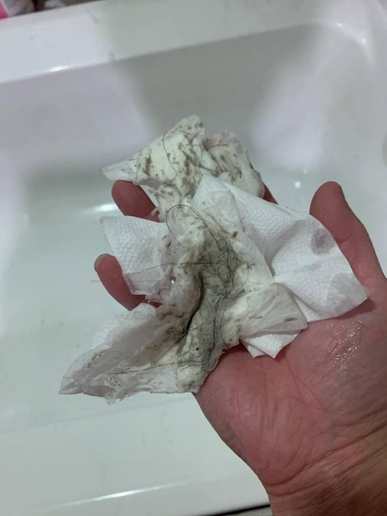 衛生紙一擦浴缸，都是黑的。翻攝自匿名2公社