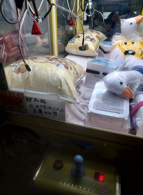 抱枕比洞口大，根本下不去。翻攝自爆怨公社