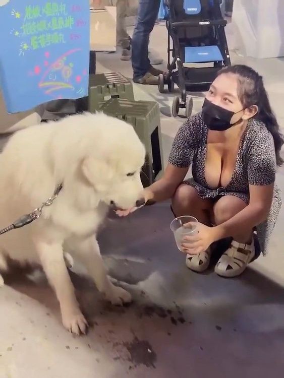 正妹露出傲人上圍與深深事業線，讓眾多網友看呆了。翻攝自臉書「爆廢公社公開版」