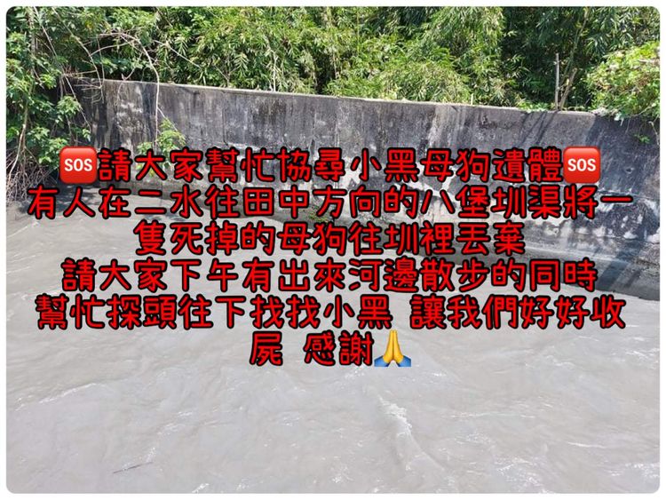 愛心媽媽在社群發通告找尋小黑母狗遺體。民眾提供