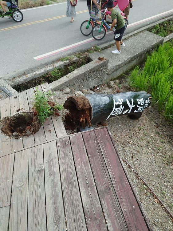 伯朗大道標誌倒塌。翻攝自爆廢公社公開版