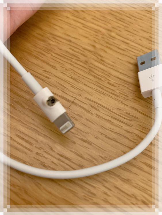 充電線被燒出一個洞。翻攝女王臉書