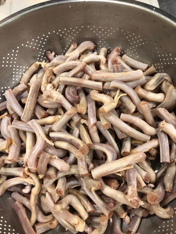 羊鞭。翻攝自高大成臉書