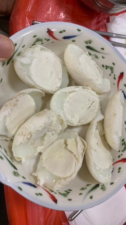 養殖鱷魚蛋。翻攝自高大成臉書