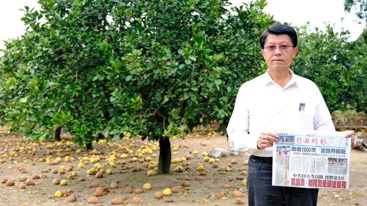 謝龍介走訪果園，以當天報紙為佐證，強調眼見為憑。謝龍介提供