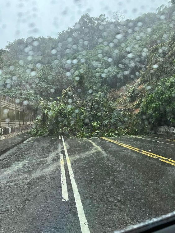翻攝自 我是東湖人
