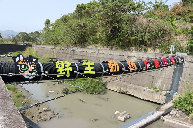 苗栗縣政府為降低野生動物被路殺，在卓蘭老庄溪架設2座野生動物通道。苗栗縣政府提供